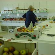 Tullens Fruit Farm: English/British Apples, Traditional Apple Varieties, No Sugar Added Organic Apple Juice, Easy Apple Recipes.